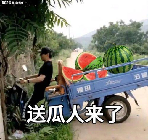 今夜在线吃瓜起点