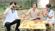 夏日吃瓜日常短剧,轻松一夏的欢乐吃瓜日常