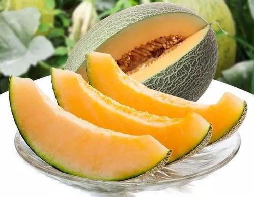 瓜州当一回吃瓜群众