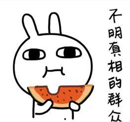 大姨吃瓜干搞笑段子,笑料横生欢乐多