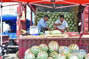 常州湖塘吃瓜,夏日吃瓜盛宴，品味清凉一夏