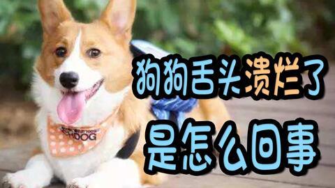 吃瓜烂舌头咋回事