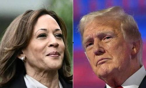 哈里斯瓜怎么吃,探索美味新境界