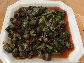 五一家里吃瓜,家中瓜果飘香，共享欢乐时光