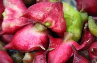 菱的吃瓜,揭秘娱乐圈的甜蜜与苦涩