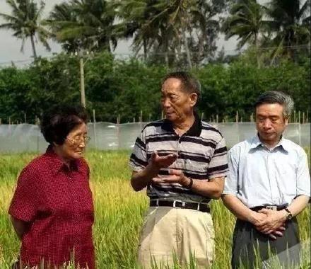 边疆吃瓜,探寻独特吃瓜文化之旅