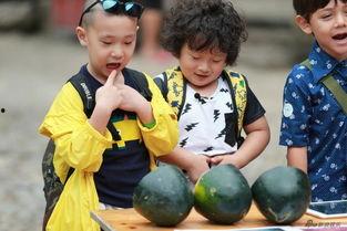 爸爸蒙眼娃吃瓜,爸爸与娃的欢乐吃瓜大作战