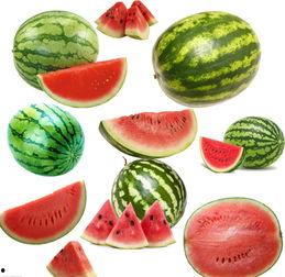 广西南校吃瓜,校园生活趣事大揭秘