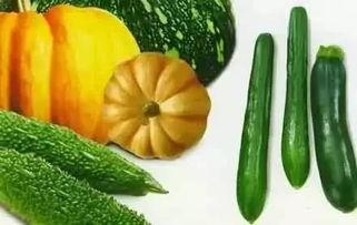 陈沫吃瓜,揭秘娱乐圈幕后真相