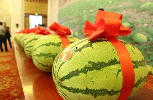 宁杭吃瓜,一场吃瓜盛宴背后的故事