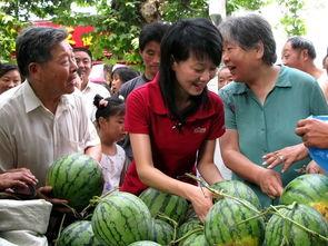吃瓜的城城,揭秘都市里的“瓜田”趣事